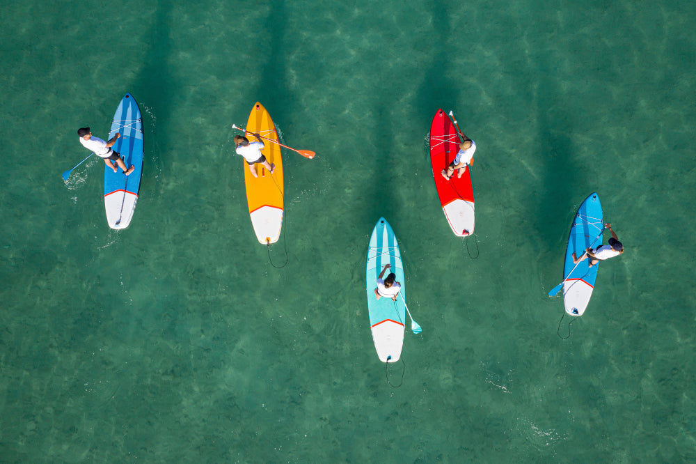 How to Choose a Paddle Board Paddle