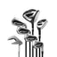 
ADULT GOLF KIT 7 CLUBS RIGHT HANDED GRAPHITE - INESIS 100,  Image  of 